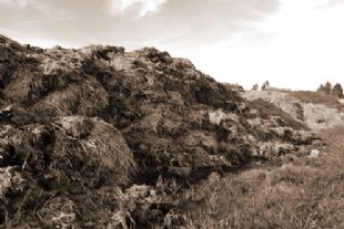 manure heap for waste management tab